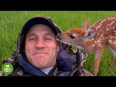 My Giant Dog Raised An Injured Fawn — And Never Left Her Side #Video