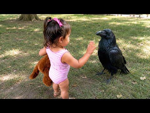 A Sweet Moment With Crow! | Cutest Crow Videos #Video