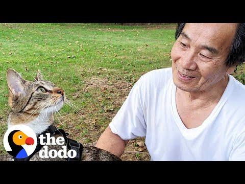 Dad Who Swore He Wasn't A Cat Person Fosters 75 Kittens #Video