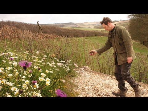 The Making of a Wildlife Haven | My Wildlife Gallery | Robert E Fuller #Video