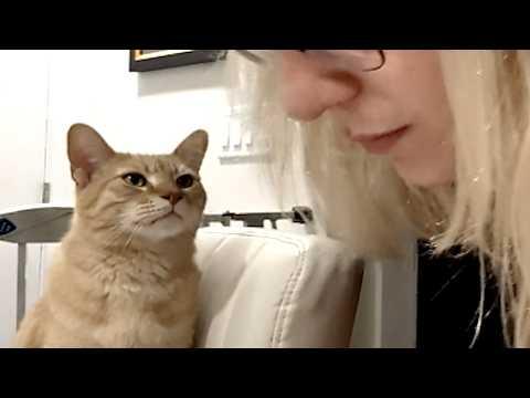 Woman brings home cat her parents warned against #Video