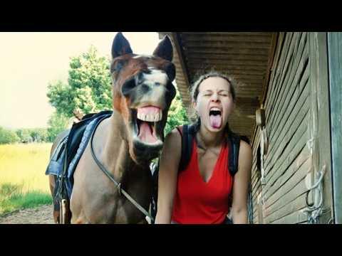 Horses Being Silly with Their Humans #Video
