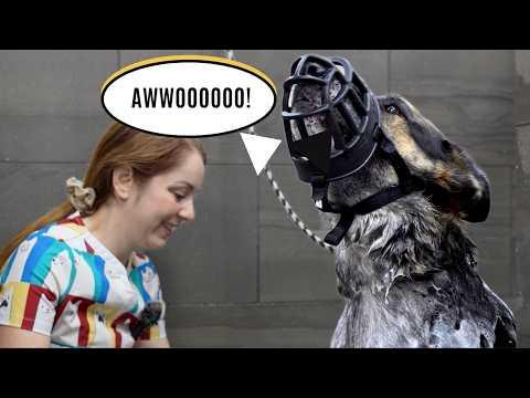 https://www.youtube.com/watch?v=k_hA3emhpXg