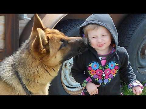 When Your Baby is Raised by a German Shepherd Dog #Video