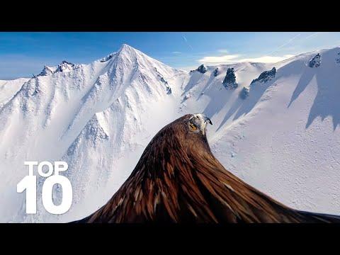 GoPro: Top 10 Moments of Winter