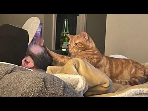 When Your Cat Love You More Than U Think  #Video