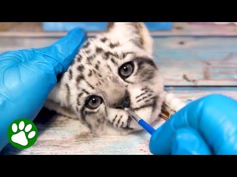 Woman Makes Ultra-Realistic Animal Toys #Video