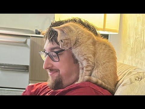 Looking After Humans Is a Never Ending Job of CAT #Video