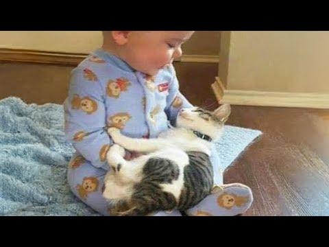 When Your Cat Becomes A Special Friend #Video