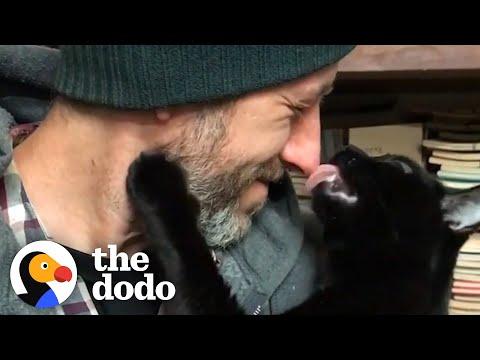 Guy Finds Stray Kitten And Bonds Hard With Him #Video