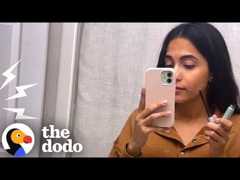 Pittie Insists On Being Involved In Mom's Beauty Routine  #Video