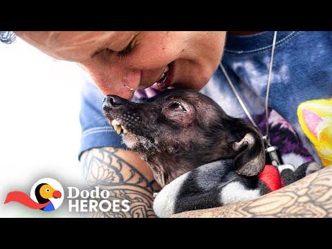 Woman Keeps Rescuing All The Dogs No One Else Wants | The Dodo Heroes