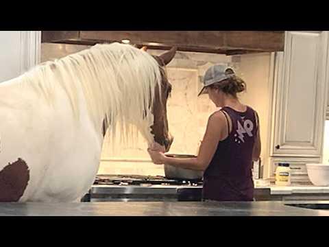 Rescue horse follows woman EVERYWHERE #Video