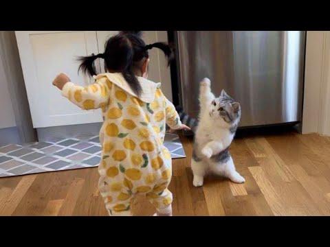 No Babysitter, No Problem When You Have A Cat! #Video