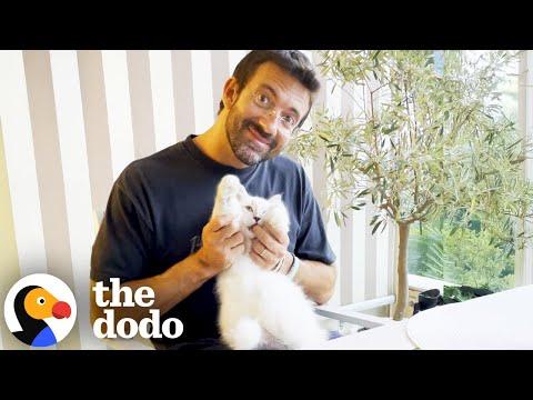 He Really Didn't Want His Wife To Get A Cat #Video