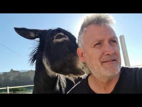 When everything is just not enough! Donkey Chat #Video