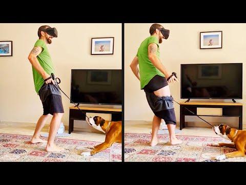 It Was His Turn to Play | Your Daily Dose Of Pets #Video