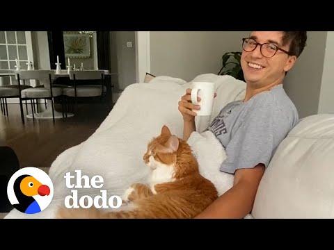 Cat Likes Dad More Than Mom  #Video