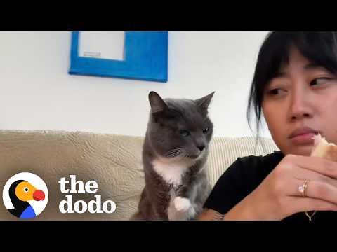 Woman In Denial Doesn't Want To Admit She's A Cat Mom  #Video