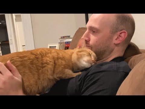 Guy brings home a cat for wife. Guess who's the third wheel now. #Video