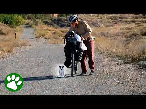 Cyclists find puppy by the side of the road