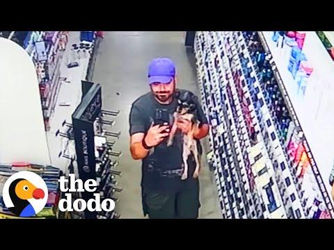 He Found A Little Stray Dog Inside Dollar General #Video