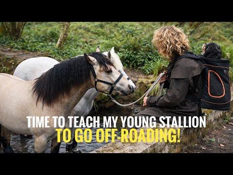 Teaching my Young Stallion Noah to go Off-Roading! #Video