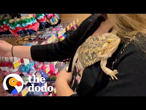 Lizard Goes To Walmart With His Mom #Video