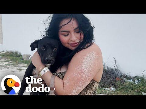 She Rescued A Dog While On Vacation In Cancun #Video