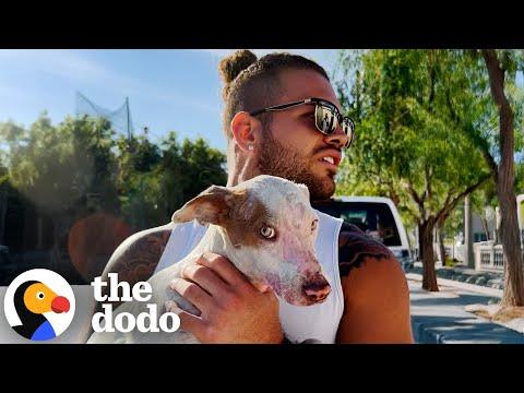 Couple Rescues Intentionally Burned Dog And Earns Her Trust #Video