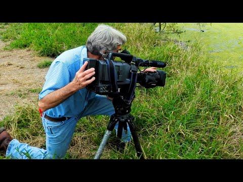 Wildlife Reporter | Richard Moore (Texas Country Reporter) #Video