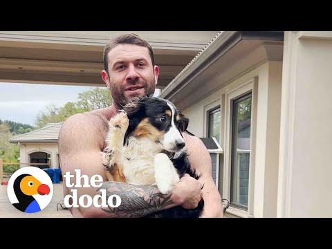 Terrified Aussie Puppy Melts Into Her New Dad's Arms #Video