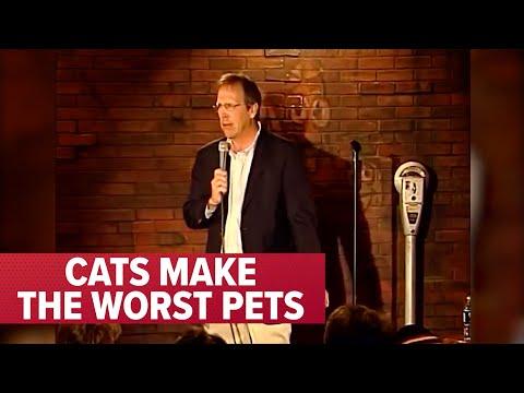 Cats Make the WORST Pets | Jeff Allen #Video