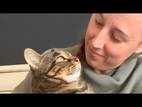 Senior shelter cat desperately hugs woman for adoption #Video