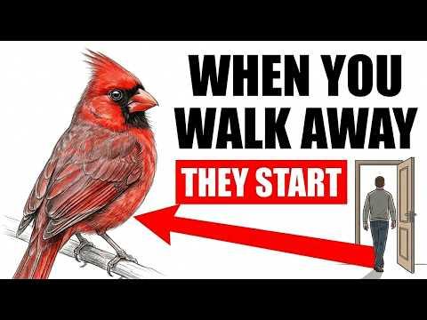 What Birds Do the Second You Walk Away — You've Never Seen This #Video