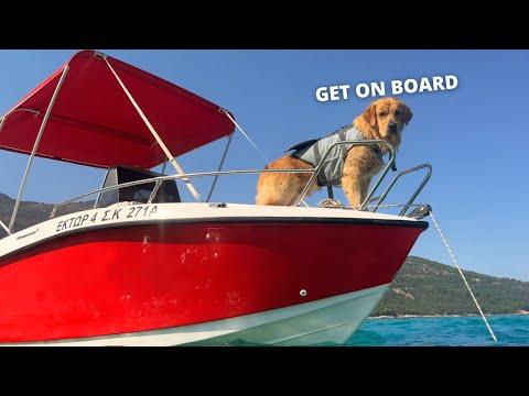 My Dog Rides A Speed Boat #Video