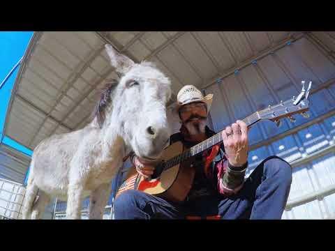 Talking Donkey named Hazel wants to hear a John Denver Song #Video