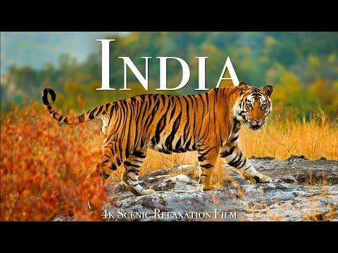 India 4K - Scenic Relaxation Film With Calming Music #Video