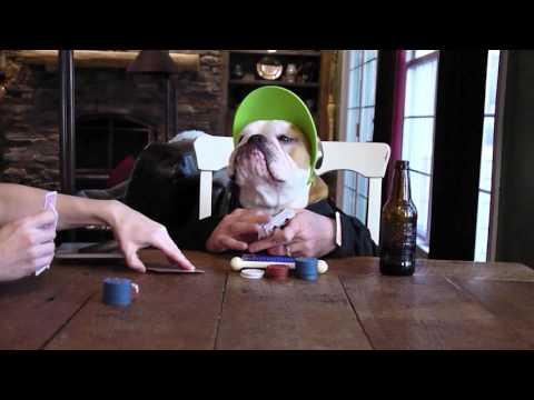 Bulldog Deals Playing Cards