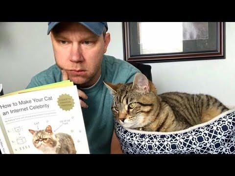 Funny Cat and their Human 2024 will keep you LAUGHING nonstop #Video