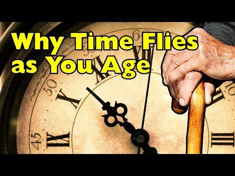 Why Do Days Seem Shorter as We Age? #Video