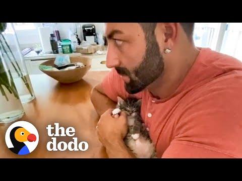 Pocket-Sized Kitten Changes This Guy Into a Cat Lover #Video