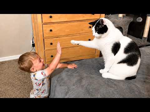 When Your Baby Finds His Perfect Match #Video