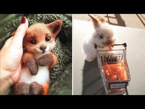 Animals SOO Cute! Cute baby animals Videos Compilation cutest moment of the animals #3