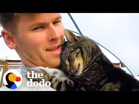 Cat Gives Her Dad Hugs All Day, Every Day | The Dodo Cat Crazy #Video