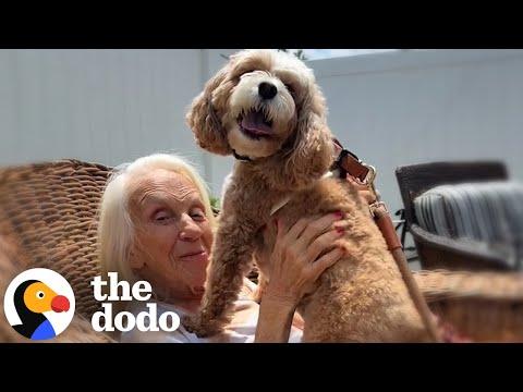 Dog Loves Visiting Her Best Friend In Memory Care Home #Video