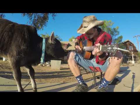 His name is Goose and he loves music. #Video