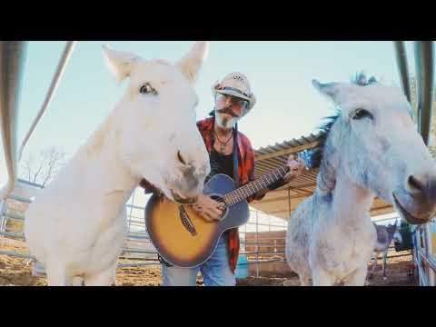Just for All The Lonely Donkeys #Video