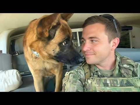 When God Sends You a Comedian Police Dog #Video
