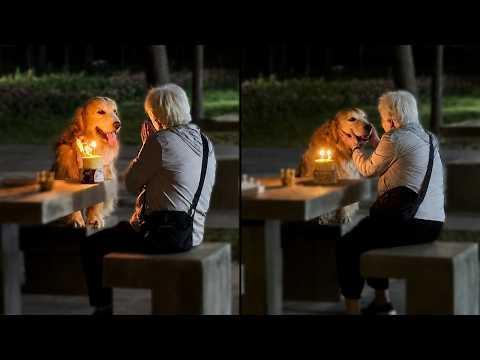 Grandma Throws The Sweetest Birthday Ever For Her Dog #Video